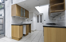 Theale kitchen extension leads